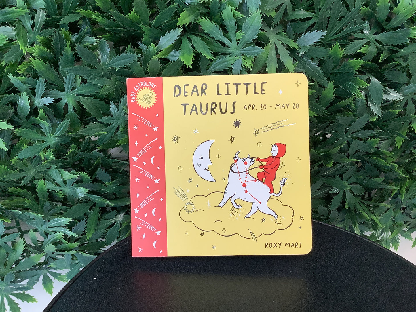 Baby Astrology Books by Roxy Marj