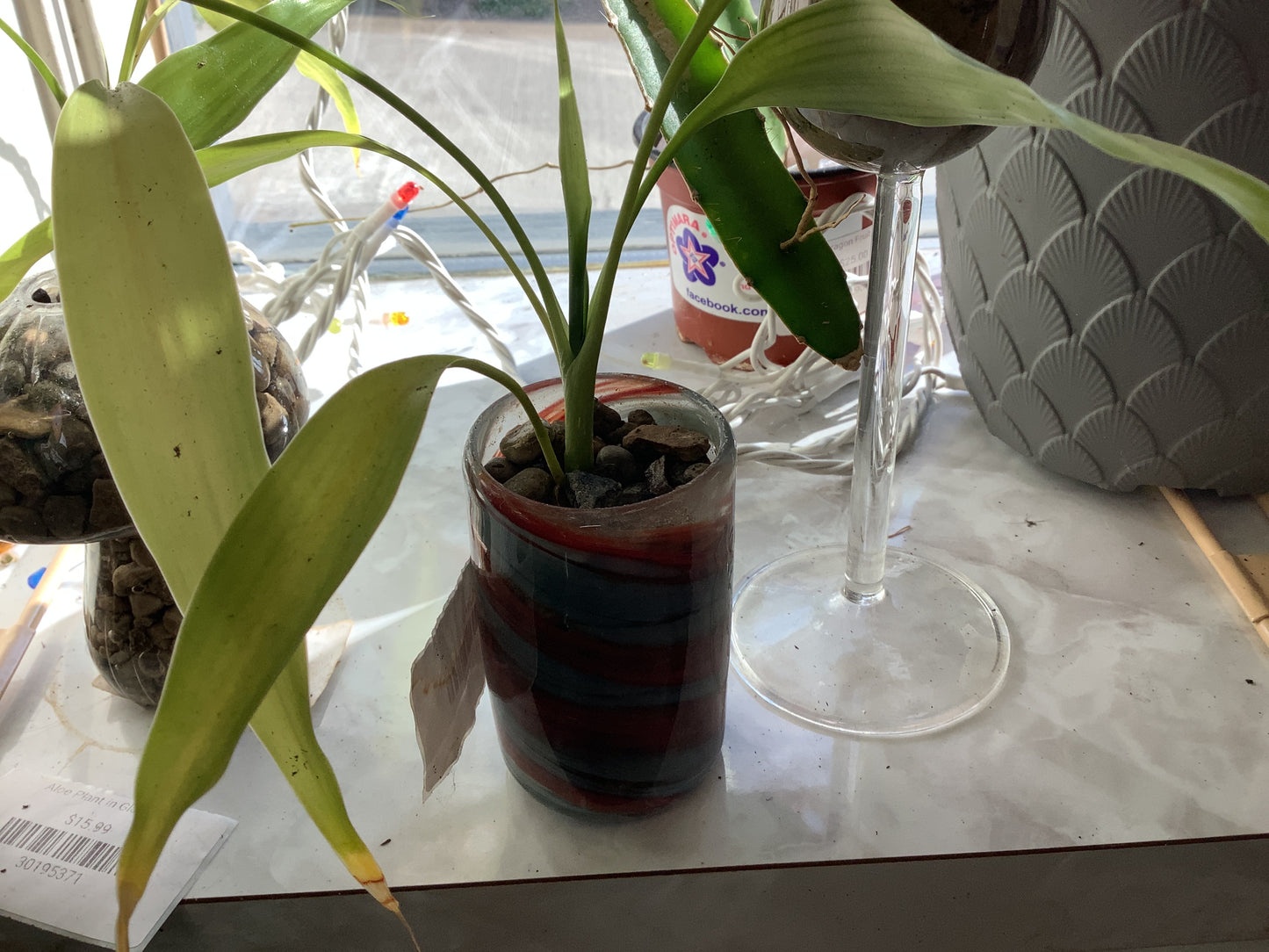 Bamboo in Blue/Muave Glass Jar