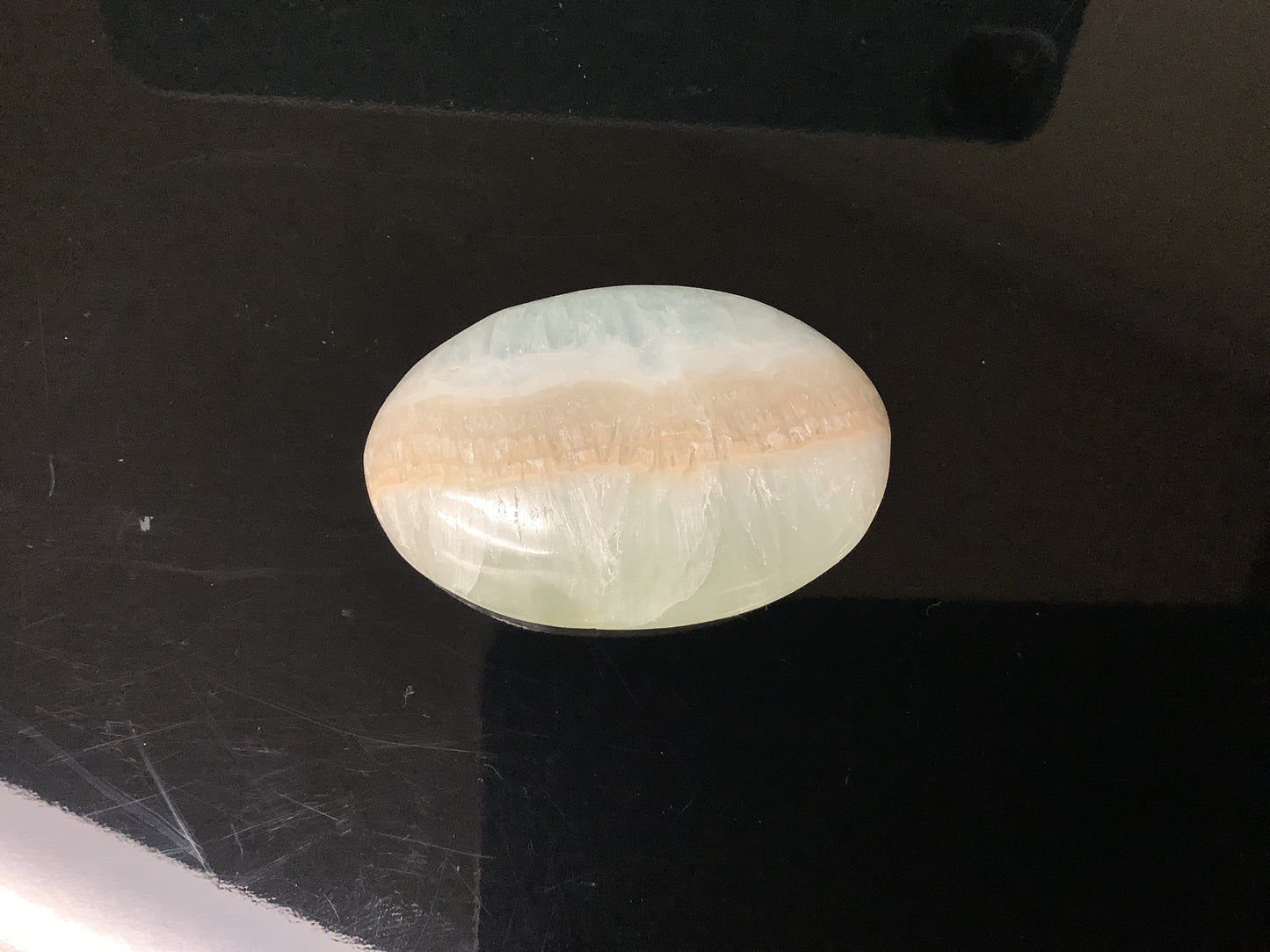 Caribbean Calcite Palm Stone