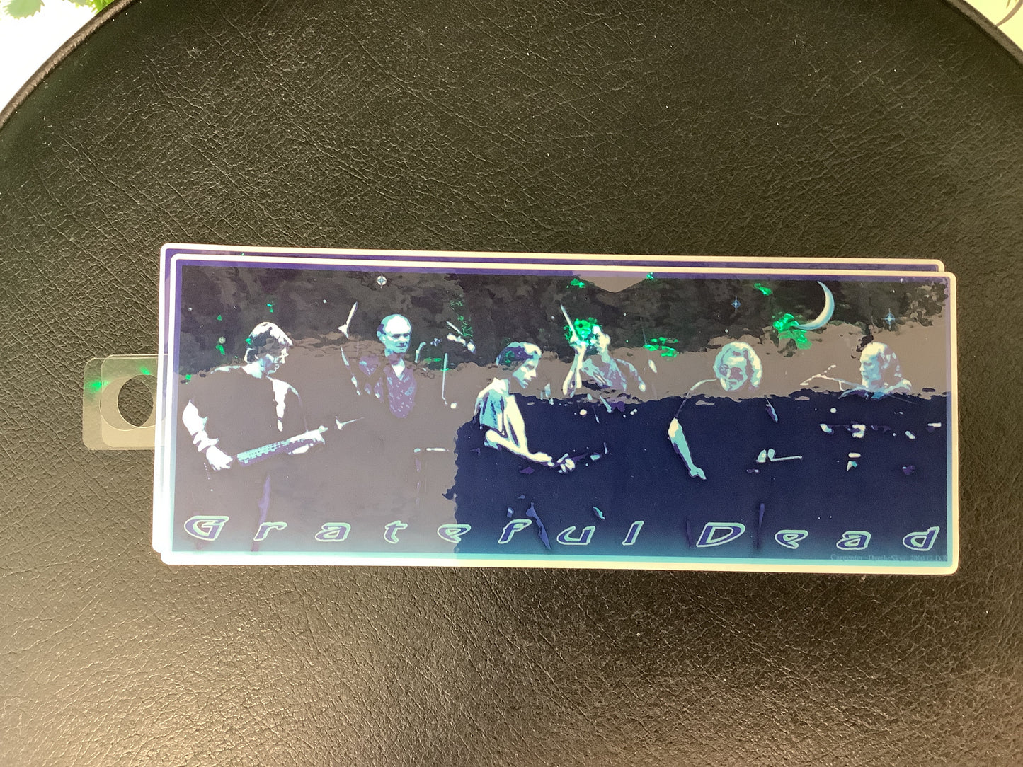 Grateful Dead Band