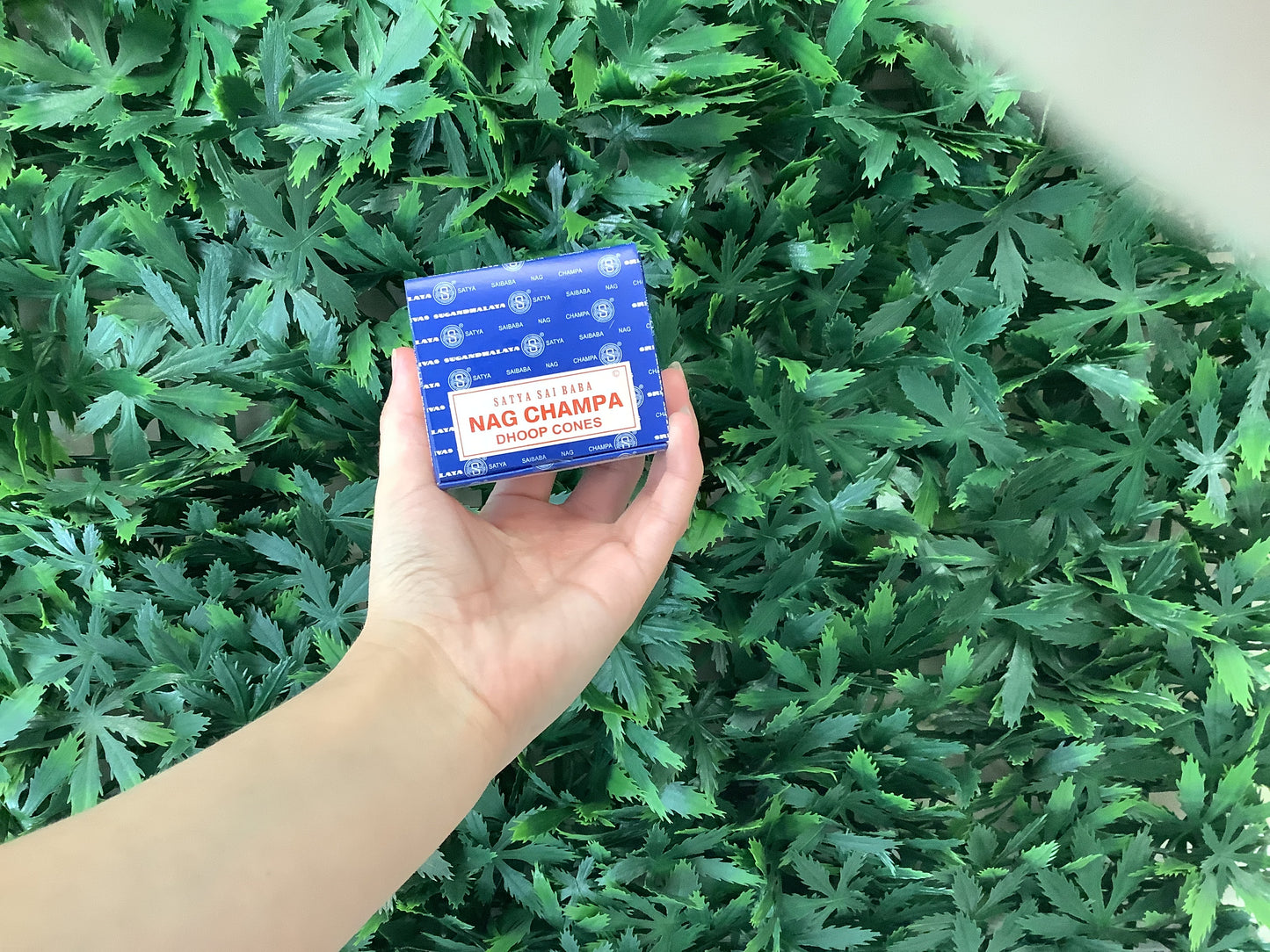 Satya Dhoop Cones