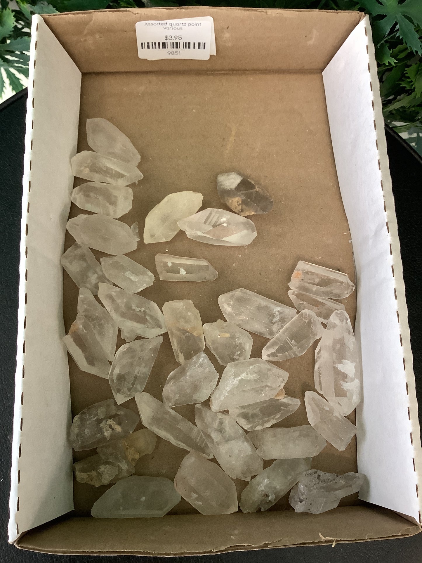 Assorted Quartz Points (Various)