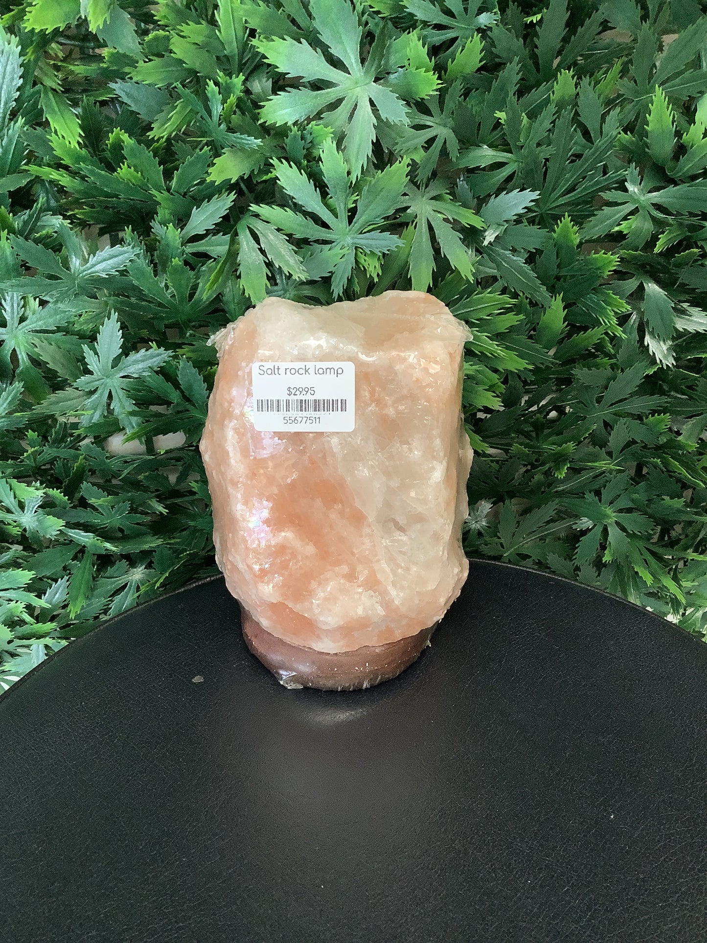 Salt Rock Lamp