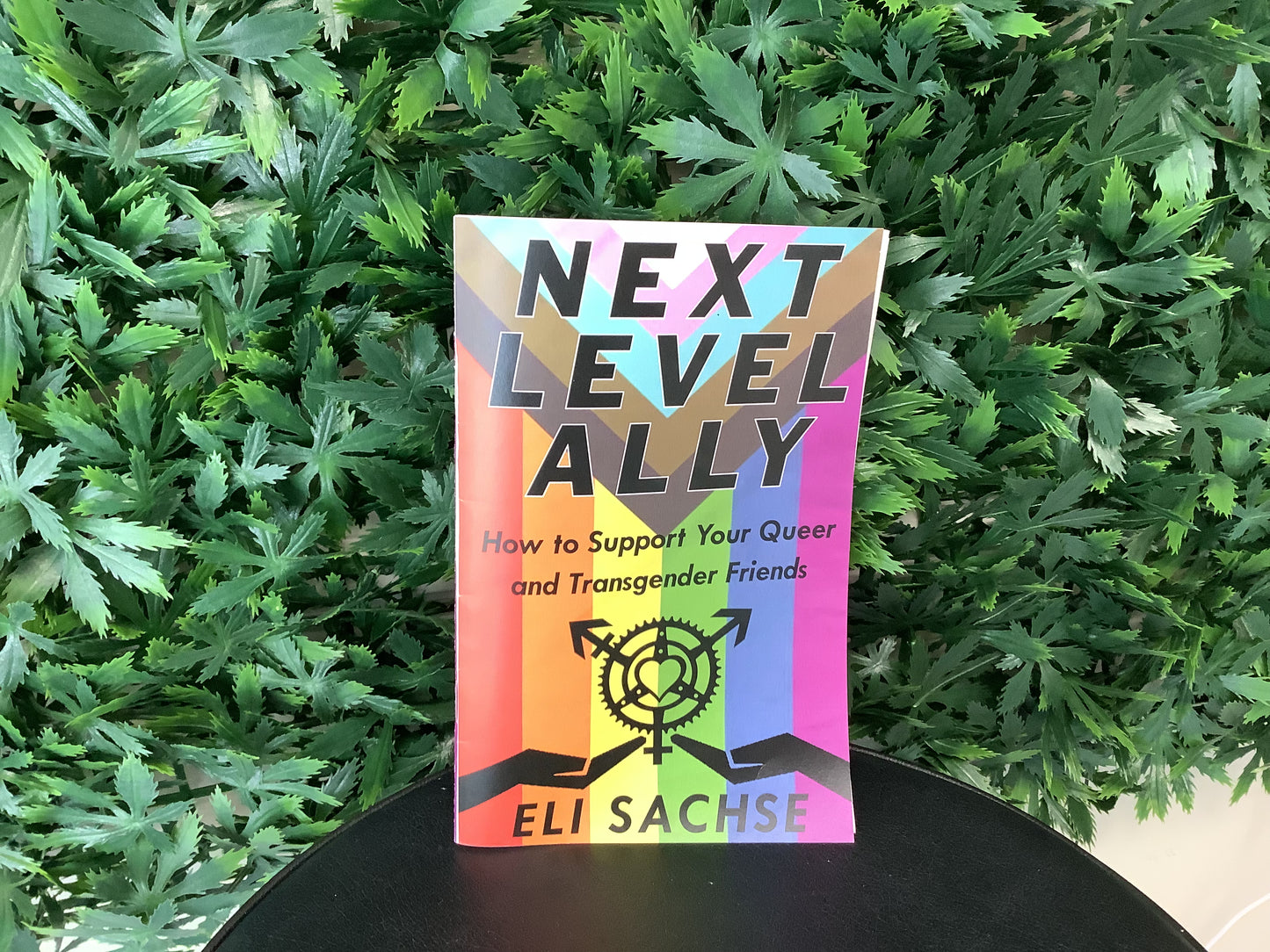 Next Level Ally