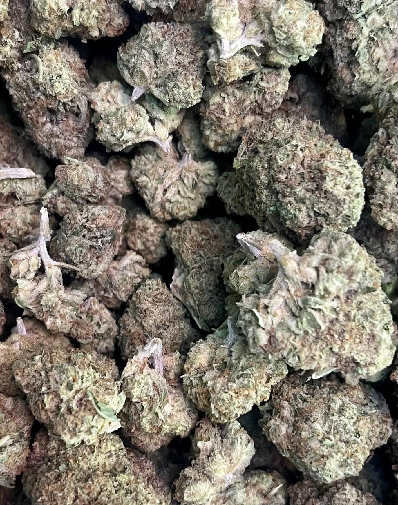 Top 5 THCa Flower