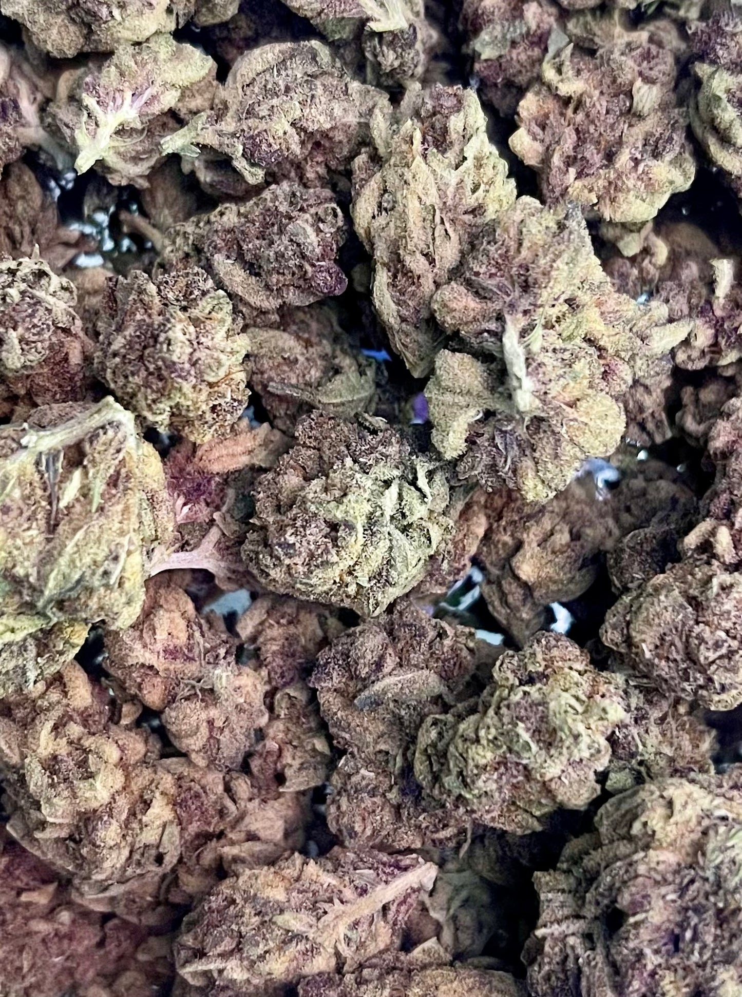 Top 5 THCa Flower