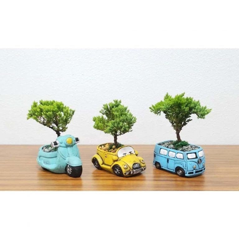 Bonsai Trees in Caricature Vehicles