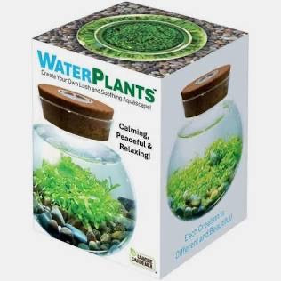 Water Plants