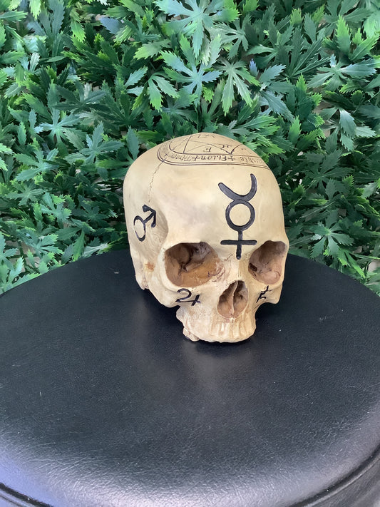 Pentagram Skull