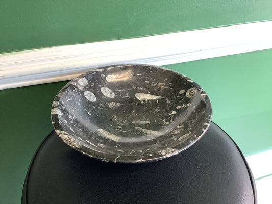 Orthoceras Bowl Fossil Large