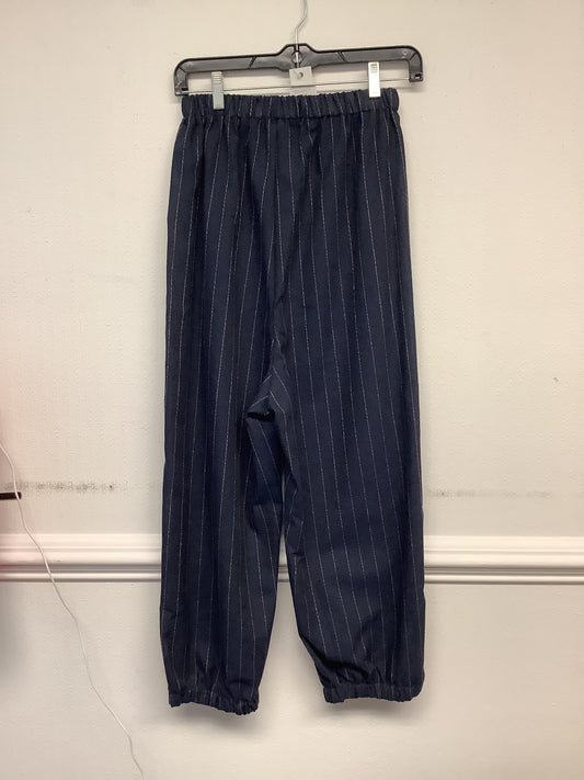 Leisure Loose Harlan Pants - Small Blue