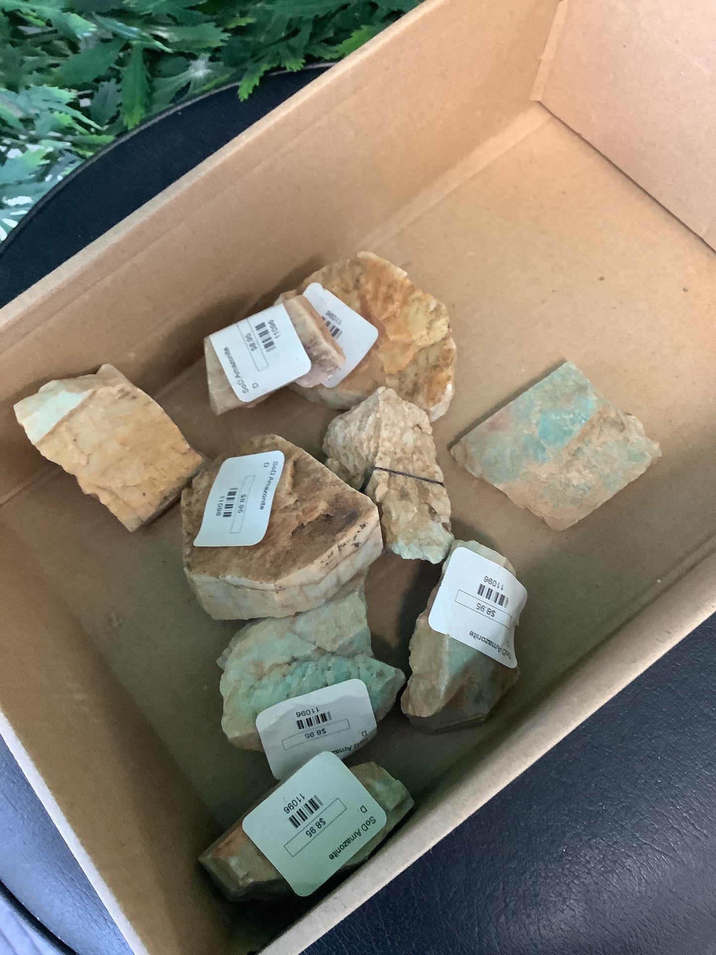 SOD Amazonite