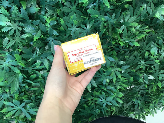 Satya Dhoop Cones