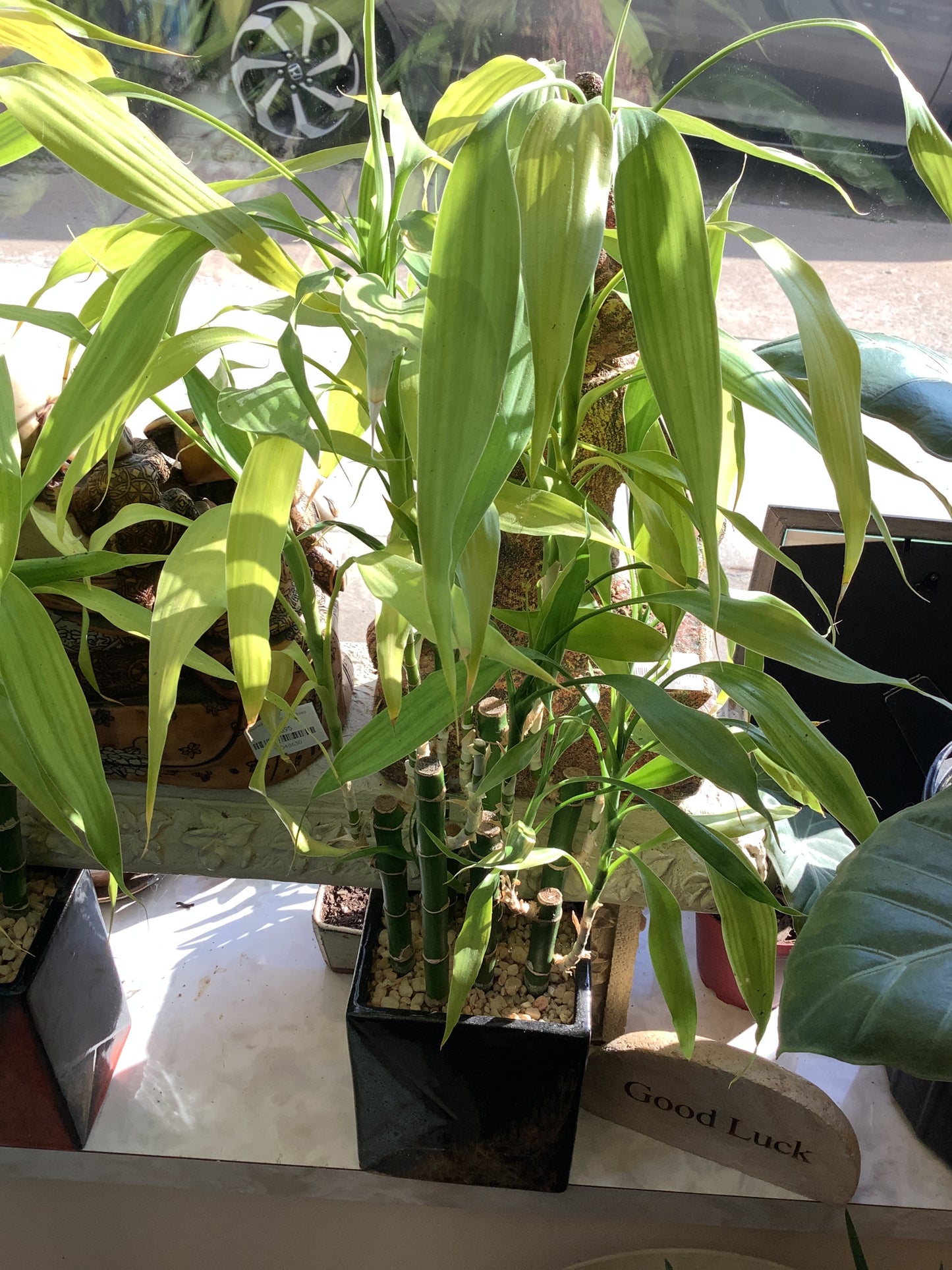 6" Mosaic  Bamboo
