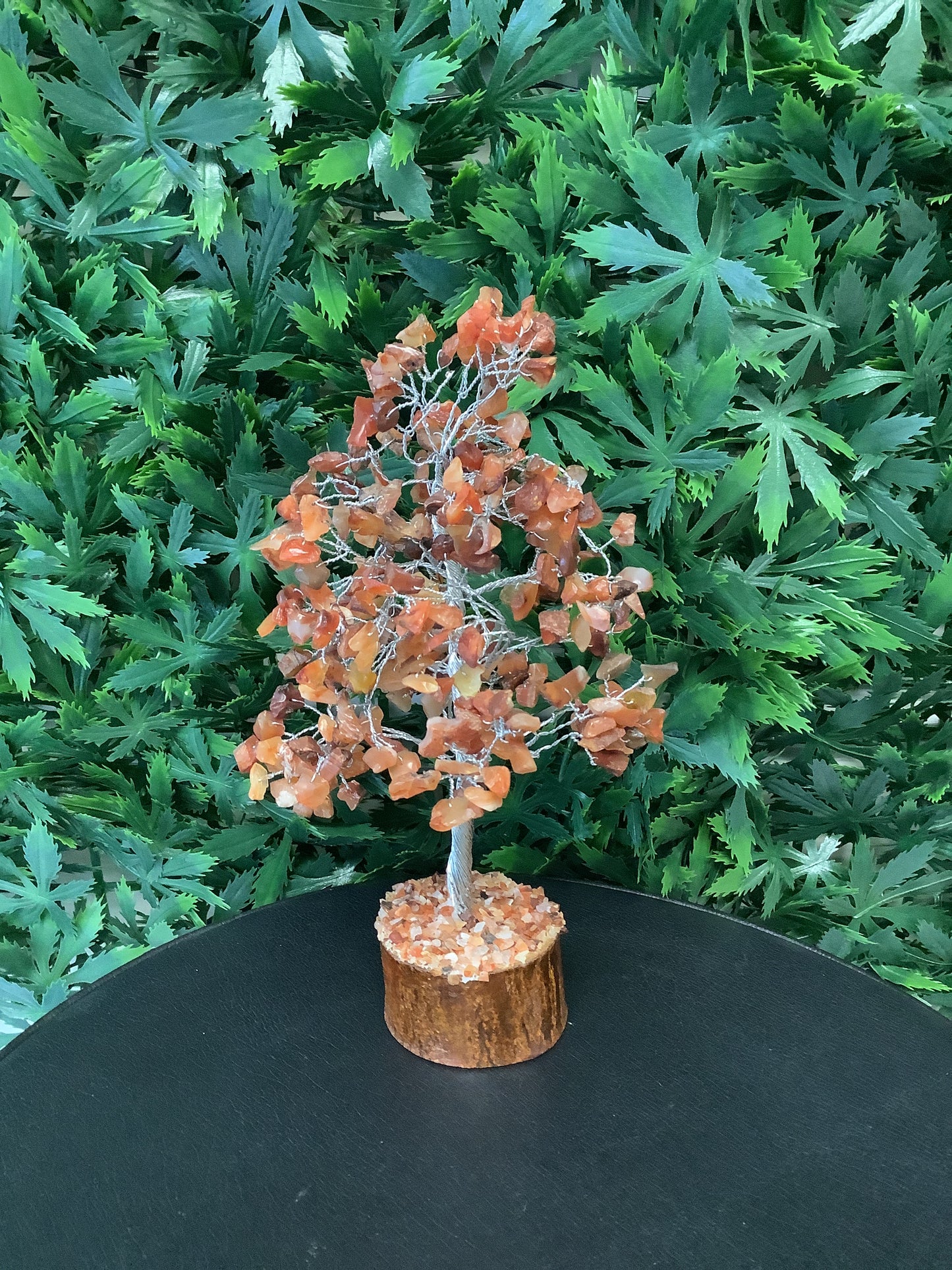N.R.C. Carnelian Tree