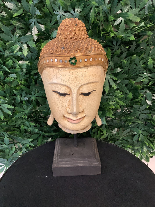 Buddha Head Bust
