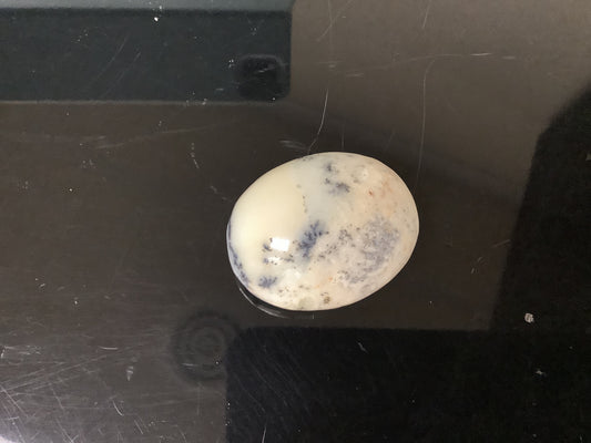 Dendritic Agate Palmstones