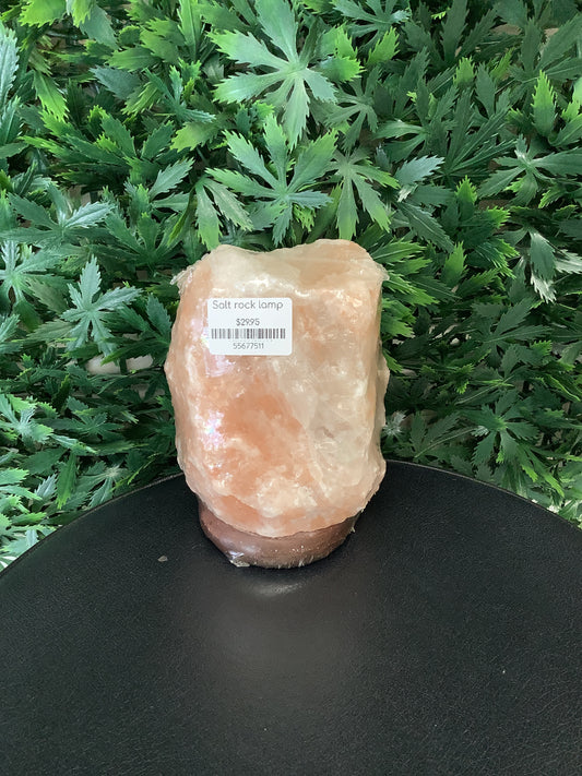 Salt Rock Lamp