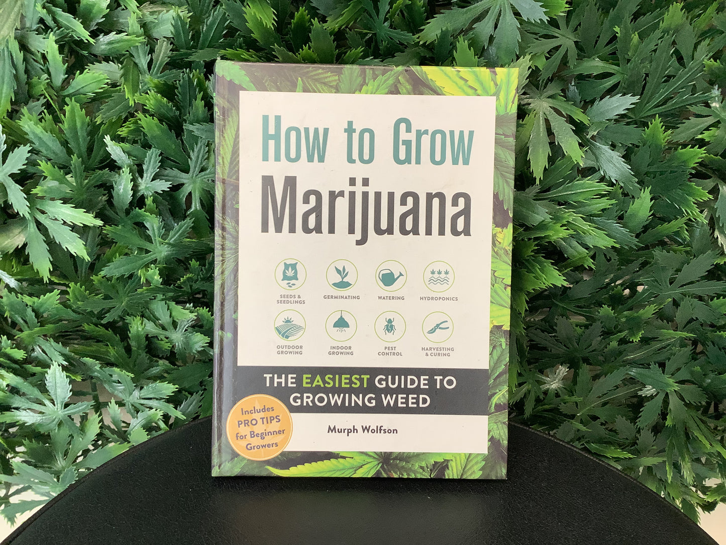 How to Grow Marijuana