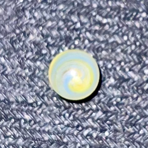 Wilson Terp Pearl