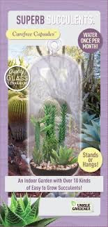 Superb Succulents