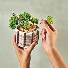 Cord Wrapped Planters
