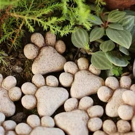 Paw Stepping Stones